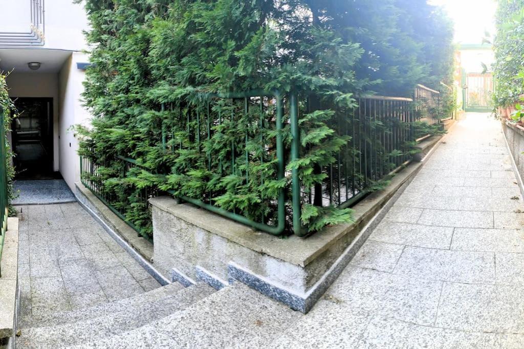 Casa Albertina Grazioso Appartamento Vicino Alla Stazione Monza Exteriör bild